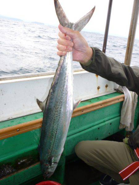 真祐丸 （しんゆうまる） 釣果