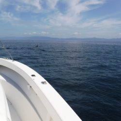 BlueNote Fishing Taxi 釣果