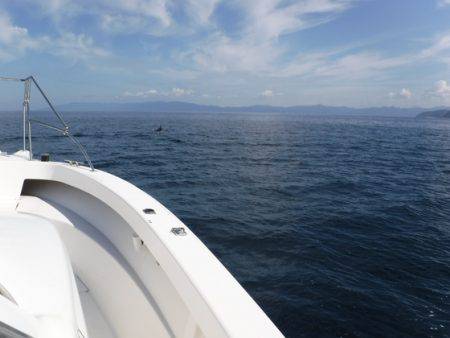 BlueNote Fishing Taxi 釣果