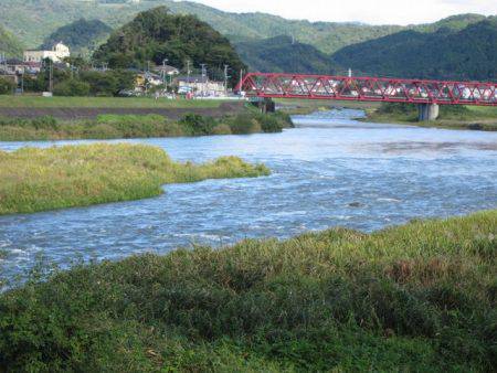 狩野川(狩野川漁業協同組合) 釣果