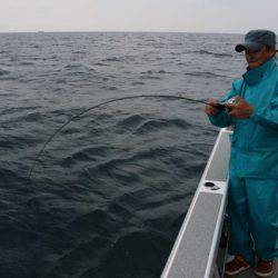 へいみつ丸 釣果