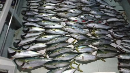 スカイマリン 釣果