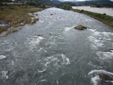 狩野川(狩野川漁業協同組合) 釣果