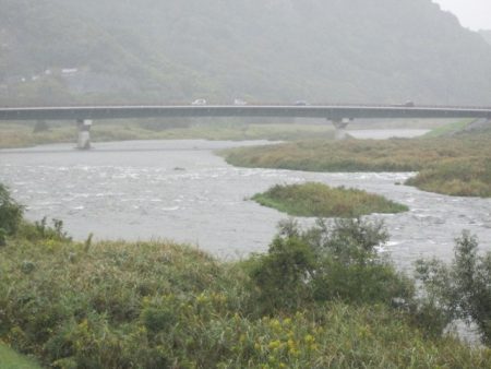 狩野川(狩野川漁業協同組合) 釣果