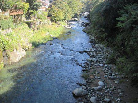 狩野川（狩野川漁業協同組合） 釣果