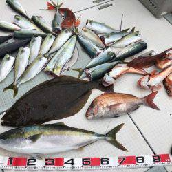 ふじしめ丸 釣果