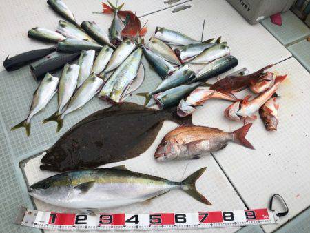 ふじしめ丸 釣果