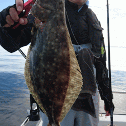 遊漁船ブルーウッズ 釣果