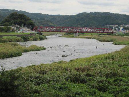 狩野川（狩野川漁業協同組合） 釣果