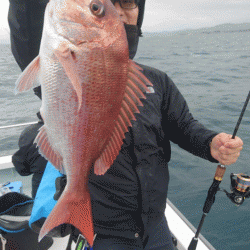 遊漁船ブルーウッズ 釣果