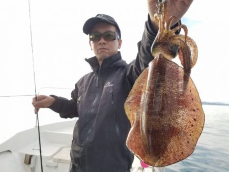 Magic（マジック） 釣果