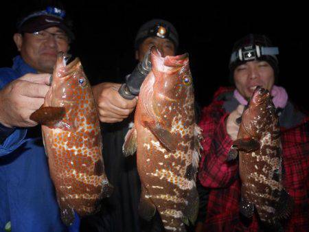 TOPGUN名古屋 釣果