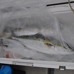 八海丸 釣果