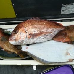 IDATEN（イダテン） 釣果