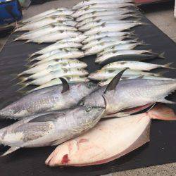 幸風（さちかぜ） 釣果