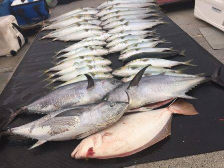 幸風（さちかぜ） 釣果