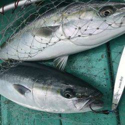 広進丸 釣果