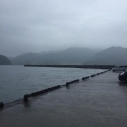 カゴ釣りin音海