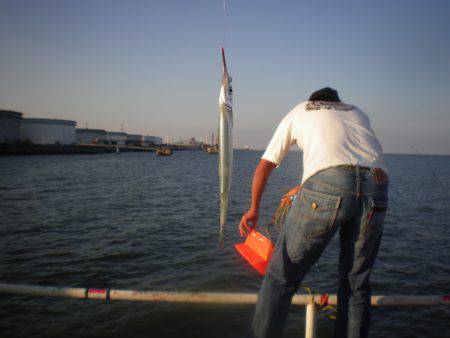 オリジナルメーカー海づり公園(市原市海づり施設) 釣果