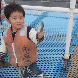 オリジナルメーカー海づり公園(市原市海づり施設) 釣果