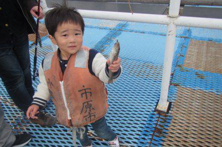オリジナルメーカー海づり公園(市原市海づり施設) 釣果