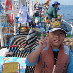 オリジナルメーカー海づり公園(市原市海づり施設) 釣果