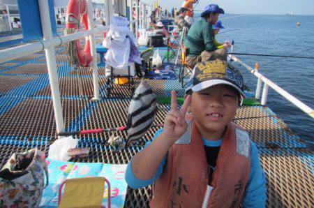 オリジナルメーカー海づり公園(市原市海づり施設) 釣果