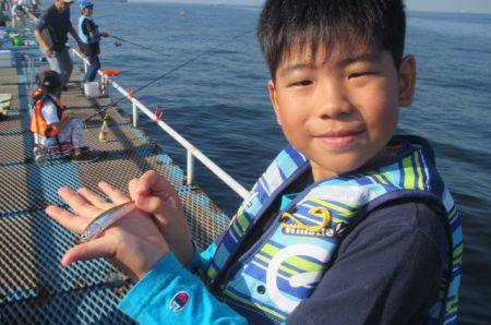 オリジナルメーカー海づり公園(市原市海づり施設) 釣果