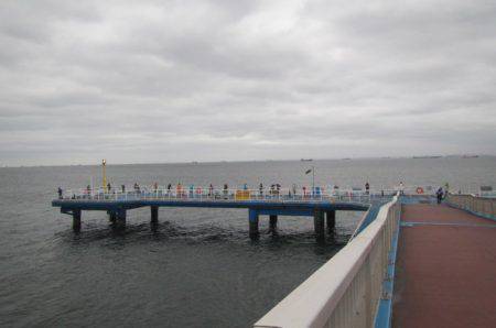 オリジナルメーカー海づり公園(市原市海づり施設) 釣果