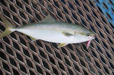 オリジナルメーカー海づり公園(市原市海づり…