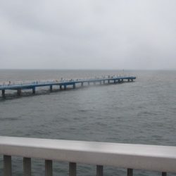 オリジナルメーカー海づり公園(市原市海づり施設) 釣果