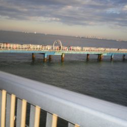 オリジナルメーカー海づり公園(市原市海づり施設) 釣果