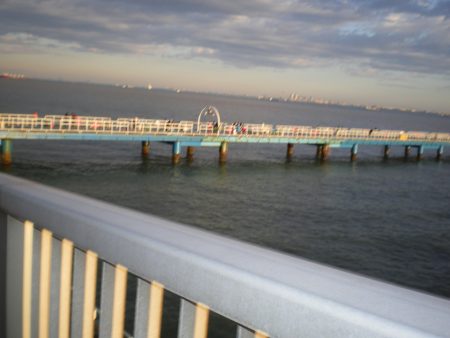 オリジナルメーカー海づり公園(市原市海づり施設) 釣果