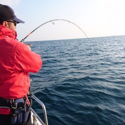 遊漁船ブルーウッズ 釣果