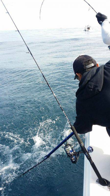 海友丸 釣果