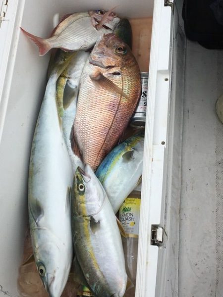 龍宮丸 釣果