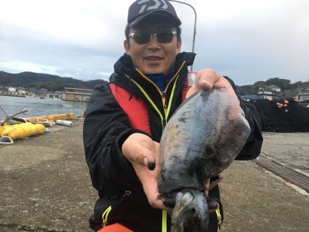 由良渡船 釣果