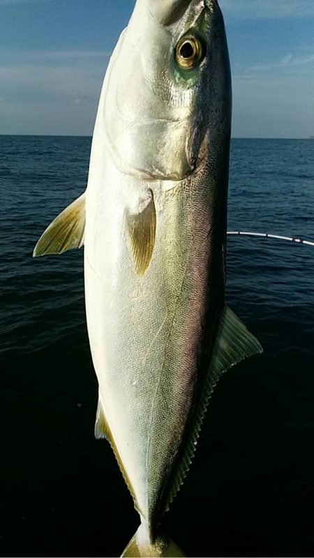 宝昌丸 釣果