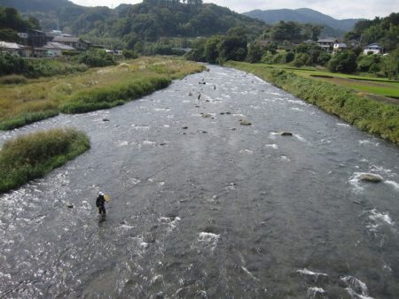 狩野川（狩野川漁業協同組合） 釣果