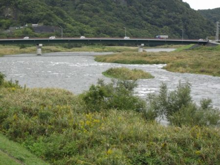 狩野川(狩野川漁業協同組合) 釣果
