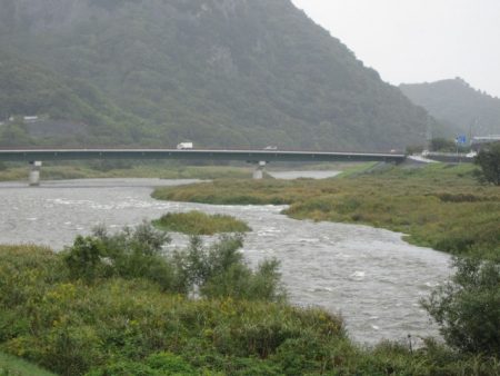 狩野川(狩野川漁業協同組合) 釣果