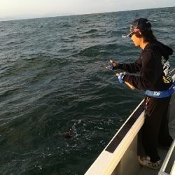 IDATEN(イダテン) 釣果