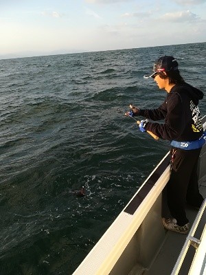 IDATEN(イダテン) 釣果