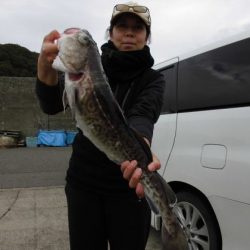 大進丸（新潟） 釣果