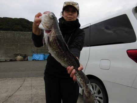 大進丸（新潟） 釣果