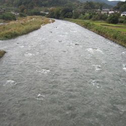 狩野川(狩野川漁業協同組合) 釣果