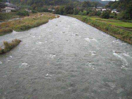 狩野川(狩野川漁業協同組合) 釣果