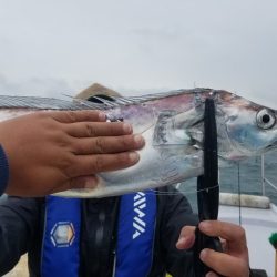 遊漁船 ニライカナイ 釣果