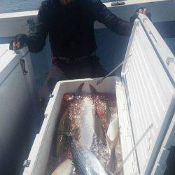 第五慶門丸 釣果