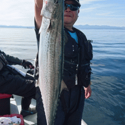 遊漁船ブルーウッズ 釣果